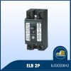 ELB-2P-2-BJS30208A2