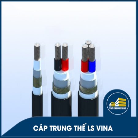cap-trung-the-vina