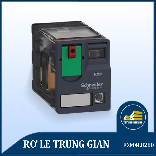 ro-le-trung-gian-ro-le-trung-gian-3A-4C-O-48VDC-RXM4LB2ED